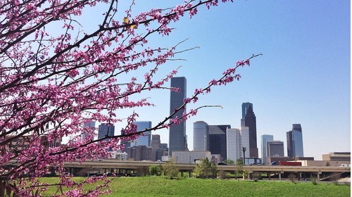 Houston skyline